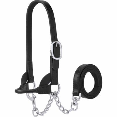Weaver Livestock Leather Bucket Calf Halter