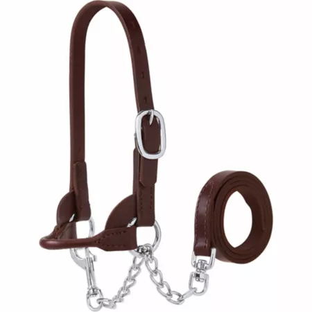 Weaver Leather Calf Leather Bucket Halter Livestock Ropes Halters & Hobbles