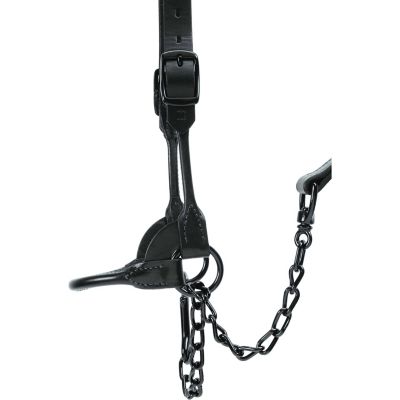 Image showing  Black Magic Show Halter, 20 in. Chain, 36 in. Lead
