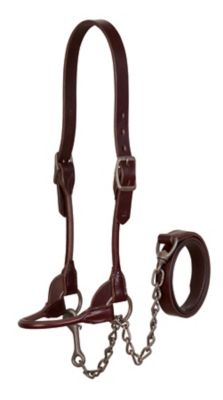 Weaver Leather Bombshell Show Halter, 36 in. Lead, 20 in. Chain, Large, Brown