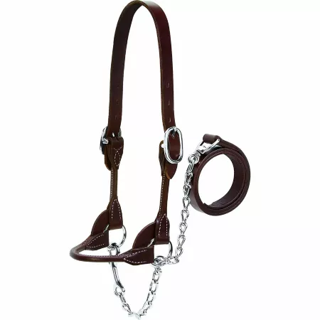 Weaver Leather Rounded Leather Dairy/Beef Show Halter 14-17" Crown Strap 5 1/4" Cheek Piece 7" Noseband Livestock Ropes Halters & Hobbles