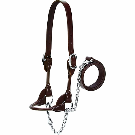 Weaver Leather Dairy/Beef Rounded Show Halter, 14-17 in. Crown Strap, 5-1/4 in. Cheek Piece, 7 in. Noseband