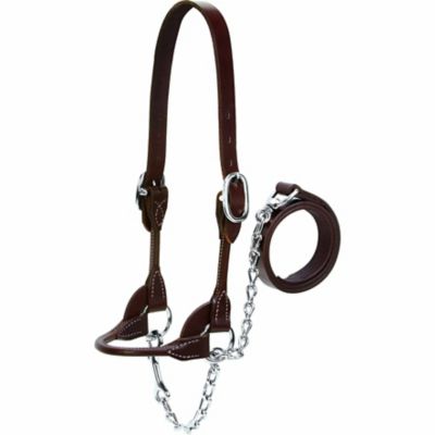 Image showing  Leather Dairy/Beef Rounded Show Halter, 14-17 in. Crown Strap, 5-1/4 in. Cheek Piece, 7 in. Noseband