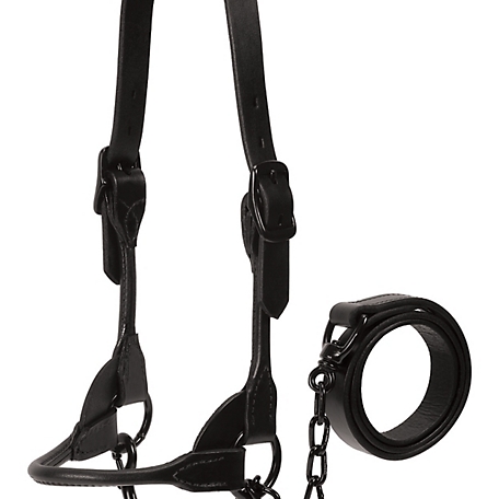 Weaver Leather Black Magic Show Halter, 20 in. Chain, 36 in. Lead
