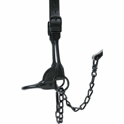 Image showing  Black Magic Show Halter, 20 in. Chain, 36 in. Lead
