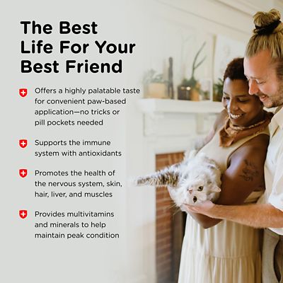 Image showing 5 th Nutri-Vet Multi-Vite Paw-Gel Supplement for Cats, 0.25 lb.