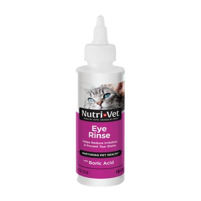 Cat Eye Care