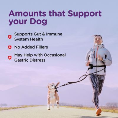 Image showing 5 th Nutri-Vet Bladder Control Chewable Supplements for Dogs, Liver Flavor, 90 ct.