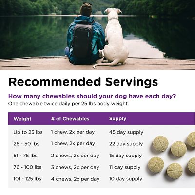 Image showing 6 th Nutri-Vet Bladder Control Chewable Supplements for Dogs, Liver Flavor, 90 ct.