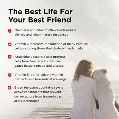 Image showing 5 th Nutri-Vet Allerg-Eze Chewable Supplement for Dogs, 60 ct.