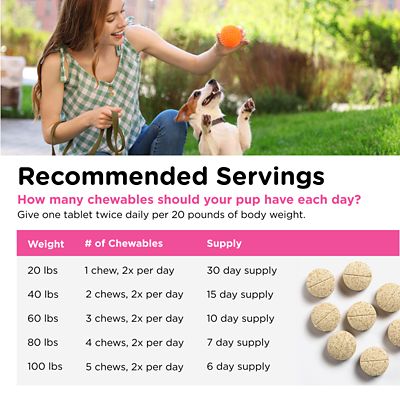 Image showing 6 th Nutri-Vet Allerg-Eze Chewable Supplement for Dogs, 60 ct.