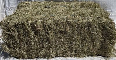Hay At Tractor Supply Co