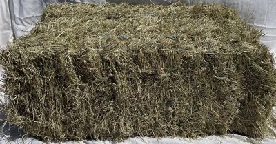 Wheat Straw Bale, Gardening Essentials