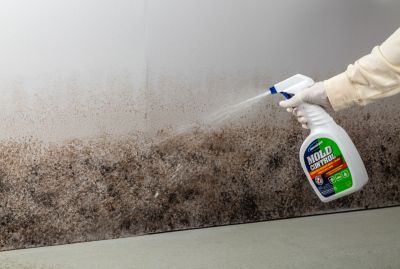 Image showing  32 oz. Concrobium Mold Control Spray