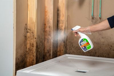 Image showing  32 oz. Concrobium Mold Control Spray