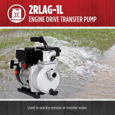 Image showing  2.4 HP Gas-Powered Engine Driven Water Transfer Pump, 60 GPM, CARB Compliant