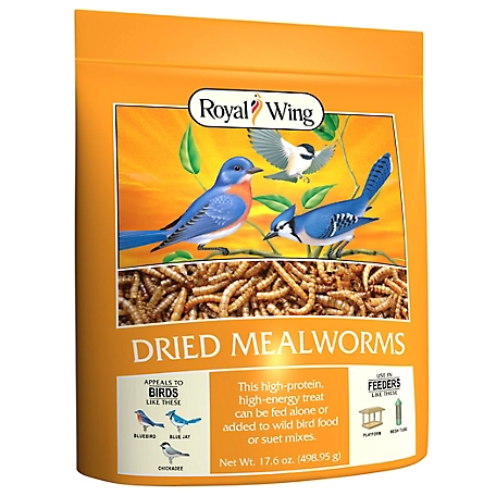 Royal Wing Dried Mealworms Wild Bird Food, 17.6 oz.