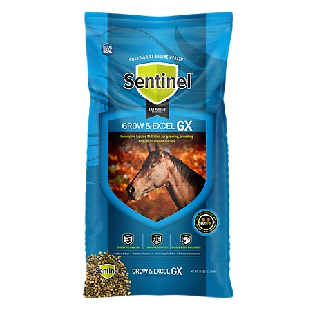 Blue Seal Sentinel Grow and Excel Extruded Horse Feed, 50 lb.