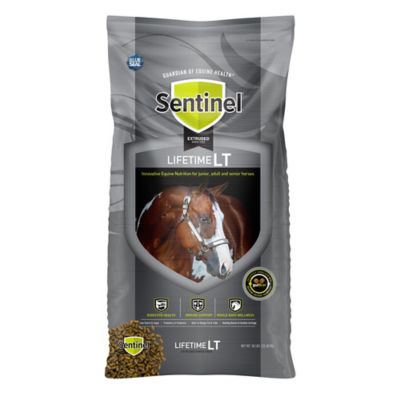 Blue Seal Sentinel Lifetime Extruded Horse Feed, 50 lb.