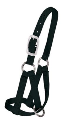 Weaver Leather 3/4 in. Criss-Cross Llama Halter, Medium/Large, Black