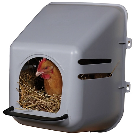 Little Giant Plastic Chicken Nesting Box