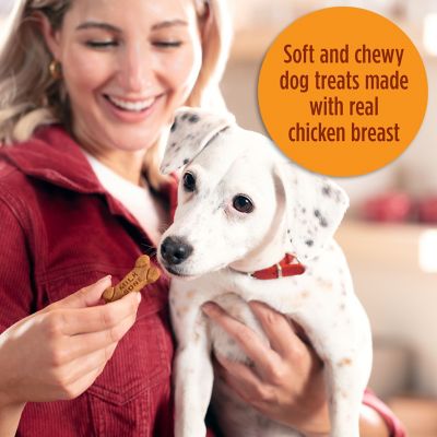 Image showing  Soft and Chewy Chicken Flavor Dog Treats, 25 oz.