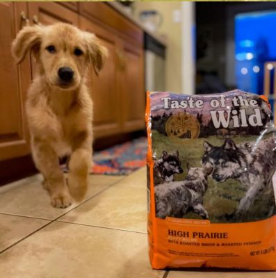 Image showing  High Prairie Puppy Grain-Free Roasted Bison and Venison Recipe Dry Dog Food