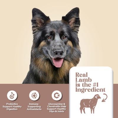 Image showing  Mature Adult And Vitality Lamb Recipe Dry Dog Food