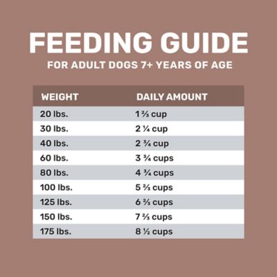 Image showing 5 th 4health with Wholesome Grains Mature Adult And Vitality Lamb Recipe Dry Dog Food