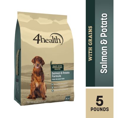 salmon and potato dry dog food