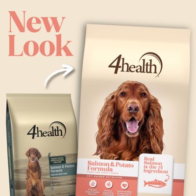 Image showing  Adult Salmon and Potato Formula Dry Dog Food