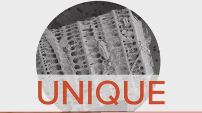 Image showing  Diatomaceous Earth with Calcium Bentonite, 4 lb.