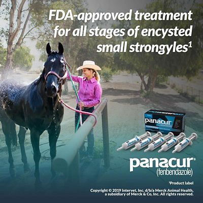 Image showing  PowerPac Equine Dewormer, 5 ct.