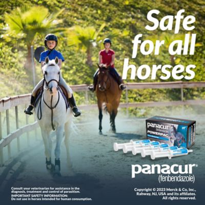 Image showing 5 th Panacur PowerPac Equine Dewormer, 5 ct.