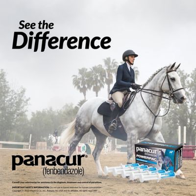 Image showing 6 th Panacur PowerPac Equine Dewormer, 5 ct.
