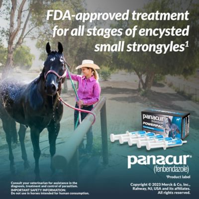 Image showing 7 th Panacur PowerPac Equine Dewormer, 5 ct.