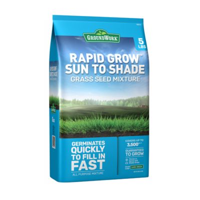 GroundWork 5 lb. 3,500 sq. ft. Sun and Shade Coated Grass Seed Mix, North