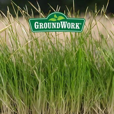 Image showing  5 lb. 3,500 sq. ft. Sun and Shade Coated Grass Seed Mix, North