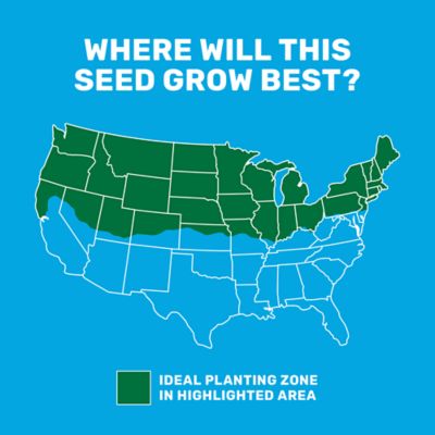 Image showing  15 lb. 10,500 sq. ft. Sun and Shade Coated Grass Seed Mix, North