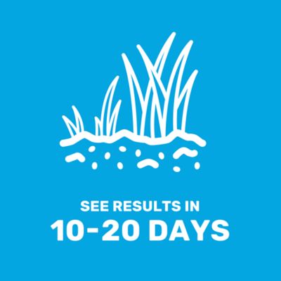 Image showing 5 th GroundWork 15 lb. 10,500 sq. ft. Sun and Shade Coated Grass Seed Mix, North