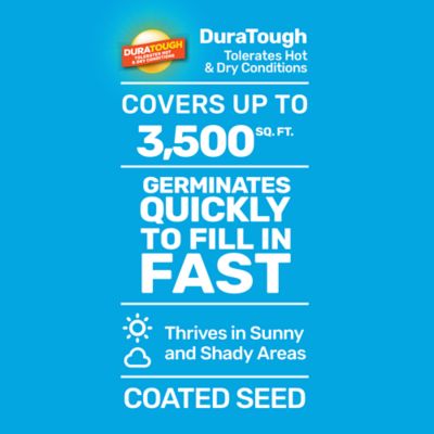 Image showing  5 lb. 3,500 sq. ft. Rapid Grow Sun to Shade Mix Coated Grass Seed, South
