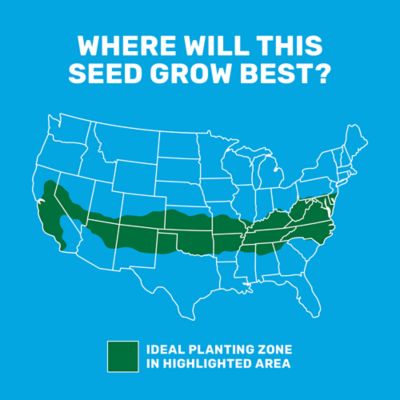 Image showing  5 lb. 3,500 sq. ft. Rapid Grow Sun to Shade Mix Coated Grass Seed, South