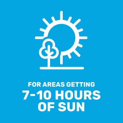 Image showing  5 lb. 3,500 sq. ft. Rapid Grow Sun to Shade Mix Coated Grass Seed, South