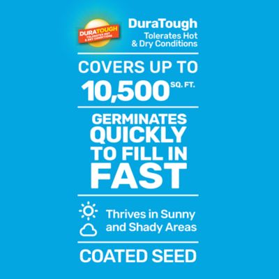 Image showing  15 lb. 10,500 sq. ft. Sun and Shade Coated Grass Seed Mix, South