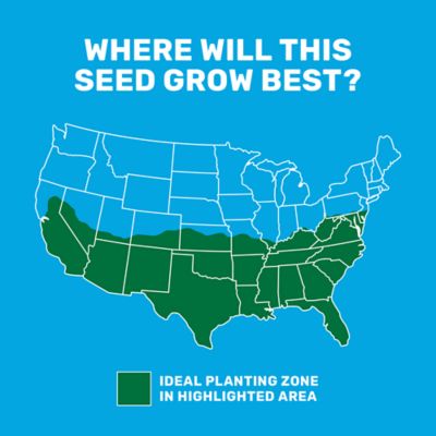 Image showing  15 lb. 10,500 sq. ft. Sun and Shade Coated Grass Seed Mix, South