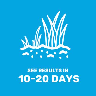 Image showing 5 th GroundWork 15 lb. 10,500 sq. ft. Sun and Shade Coated Grass Seed Mix, South