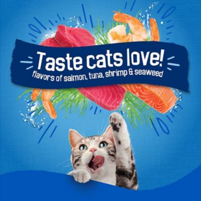 Image showing  All Life Stages Seafood Sensations Salmon, Tuna and Shrimp Recipe Dry Cat Food