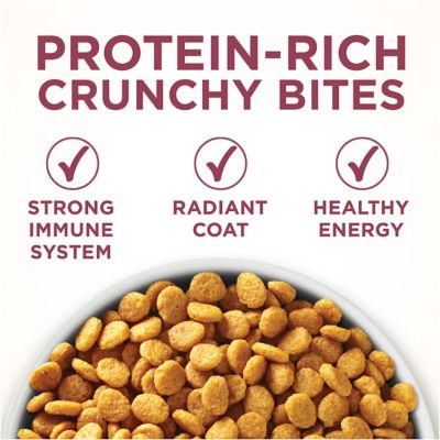 Image showing  All Life Stages Indoor/Outdoor High-Protein Plus Urinary Tract Health Chicken Formula Dry Cat Food