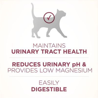Image showing 5 th Purina ONE All Life Stages Indoor/Outdoor High-Protein Plus Urinary Tract Health Chicken Formula Dry Cat Food