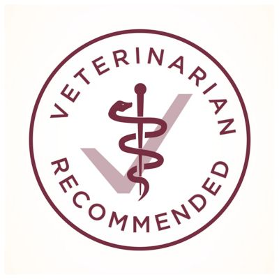 Image showing 8 th Purina ONE All Life Stages Indoor/Outdoor High-Protein Plus Urinary Tract Health Chicken Formula Dry Cat Food